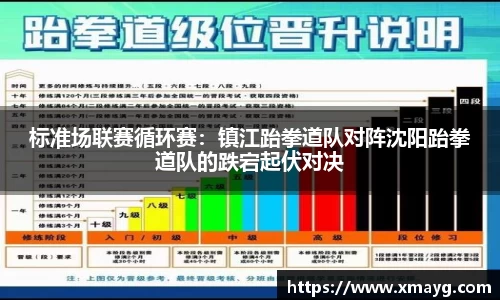 标准场联赛循环赛：镇江跆拳道队对阵沈阳跆拳道队的跌宕起伏对决