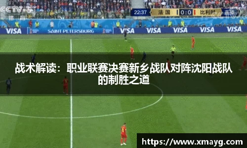 战术解读：职业联赛决赛新乡战队对阵沈阳战队的制胜之道